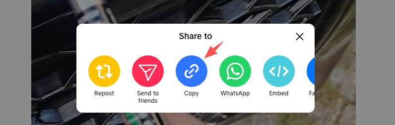 Copy a public TikTok video link or username