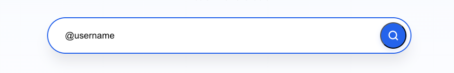 Paste a public TikTok video link into the TikView downloader search box